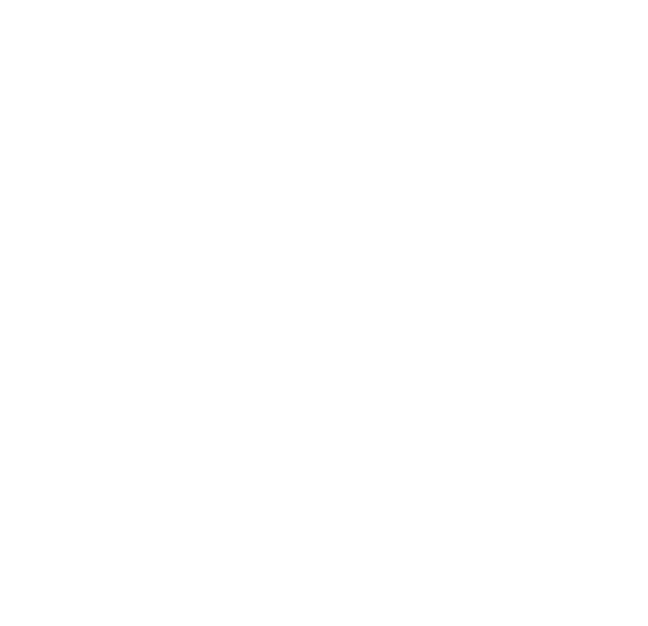 Github icon